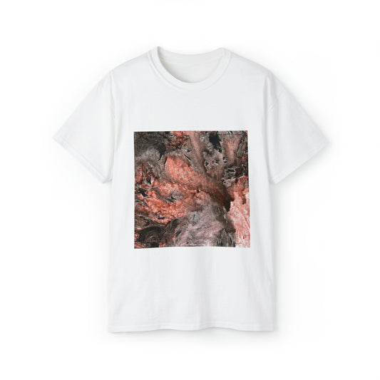 “Barbecue” - Short Sleeve Graphic Tee by Artist David Hilborn